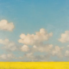 Rapsblüte | Landschaftsmaler Andi Schmitt