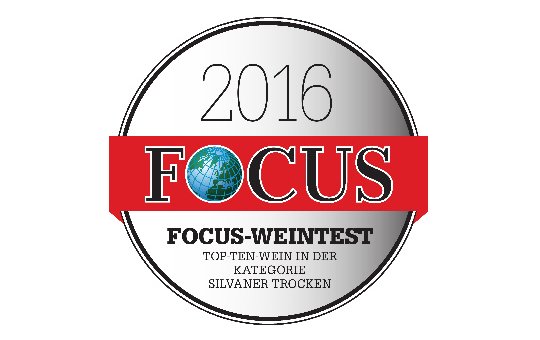 Focus 2016